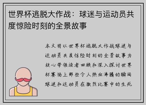 世界杯逃脱大作战：球迷与运动员共度惊险时刻的全景故事